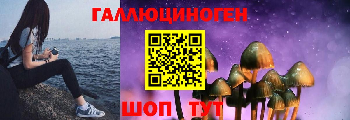 Кубинка  Псилоцибиновые грибы ЛСД  Галлюциногенные грибы GOLDEN TEACHER  Вход с VPN 